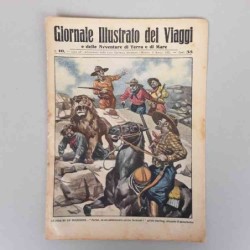 Giornale illustrato dei...