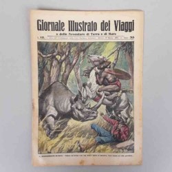 Giornale illustrato dei...