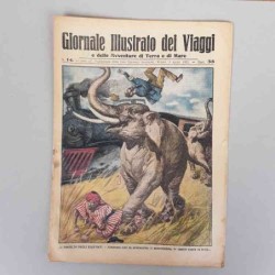 Giornale illustrato dei...