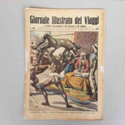 Giornale illustrato dei...