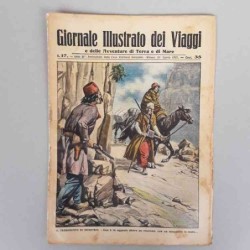Giornale illustrato dei...