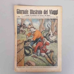 Giornale illustrato dei...