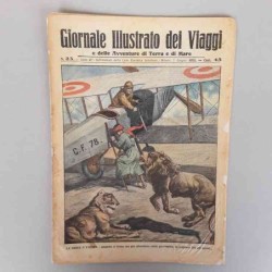 Giornale illustrato dei...