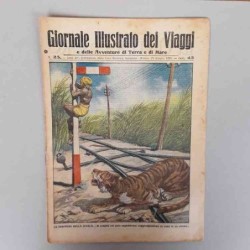 Giornale illustrato dei...