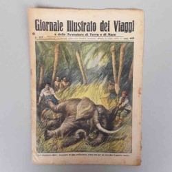 Giornale illustrato dei...