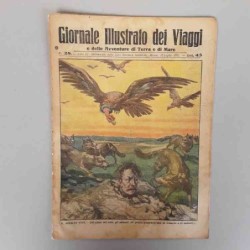 Giornale illustrato dei...