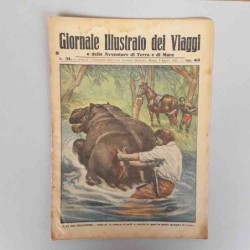 Giornale illustrato dei...