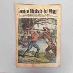 Giornale illustrato dei...