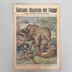 Giornale illustrato dei...