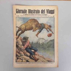 Giornale illustrato dei...