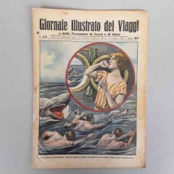 Giornale illustrato dei...