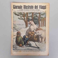 Giornale illustrato dei...