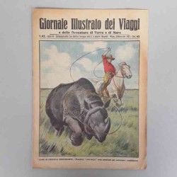 Giornale illustrato dei...