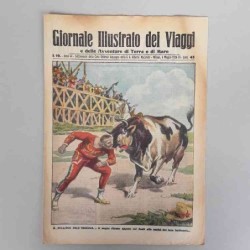 Giornale illustrato dei...