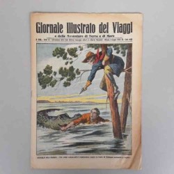 Giornale illustrato dei...