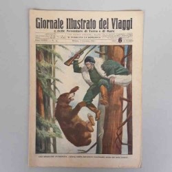 Giornale illustrato dei...