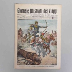 Giornale illustrato dei...