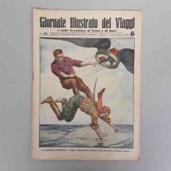 Giornale illustrato dei...