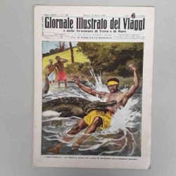 Giornale illustrato dei...