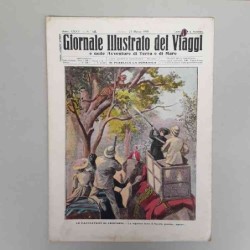 Giornale illustrato dei...