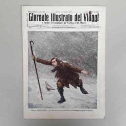 Giornale illustrato dei...