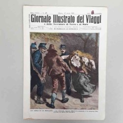 Giornale illustrato dei...