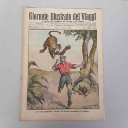Giornale illustrato dei...