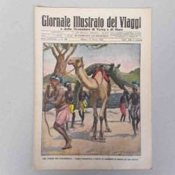 Giornale illustrato dei...