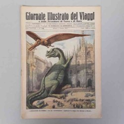 Giornale illustrato dei...