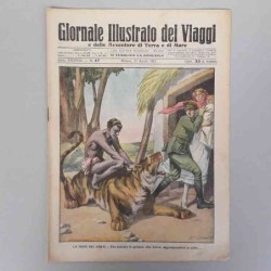Giornale illustrato dei...