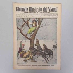 Giornale illustrato dei...