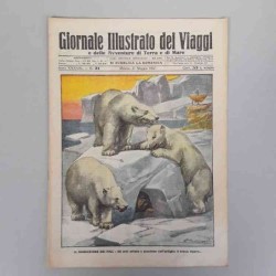 Giornale illustrato dei...