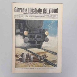 Giornale illustrato dei...