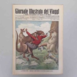 Giornale illustrato dei...