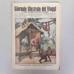 Giornale illustrato dei...