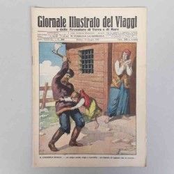 Giornale illustrato dei...