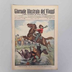 Giornale illustrato dei...