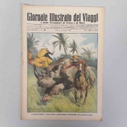 Giornale illustrato dei...