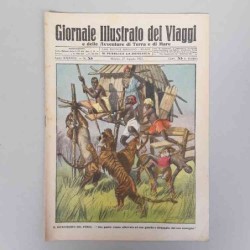 Giornale illustrato dei...
