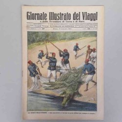 Giornale illustrato dei...