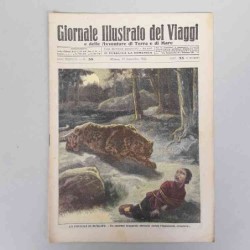 Giornale illustrato dei...