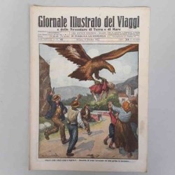 Giornale illustrato dei...