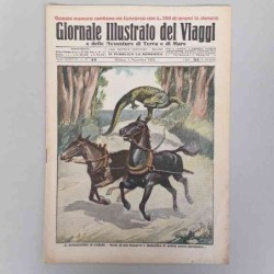 Giornale illustrato dei...