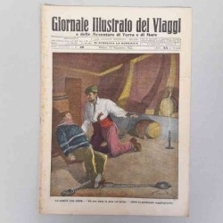 Giornale illustrato dei...