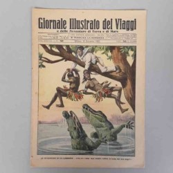 Giornale illustrato dei...