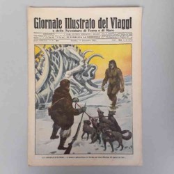 Giornale illustrato dei...