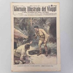 Giornale illustrato dei...