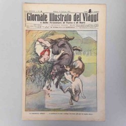 Giornale illustrato dei...