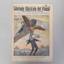 Giornale illustrato dei...
