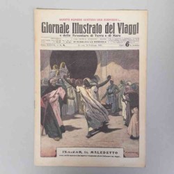 Giornale illustrato dei...